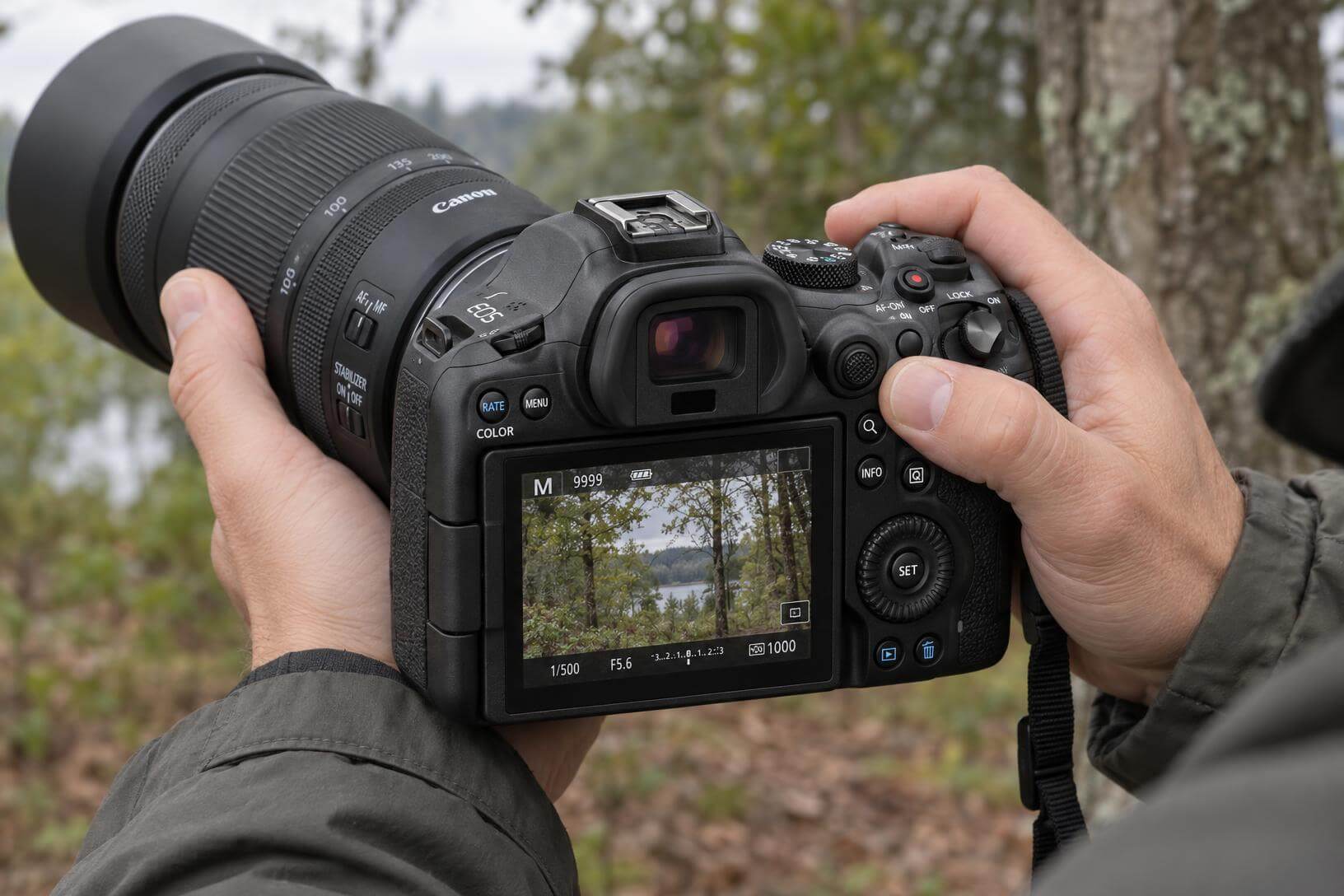 Main d'un photographe tenant le boîtier Canon EOS R6 Mark III avec un téléobjectif en forêt lors d'un test de photographie animalière.