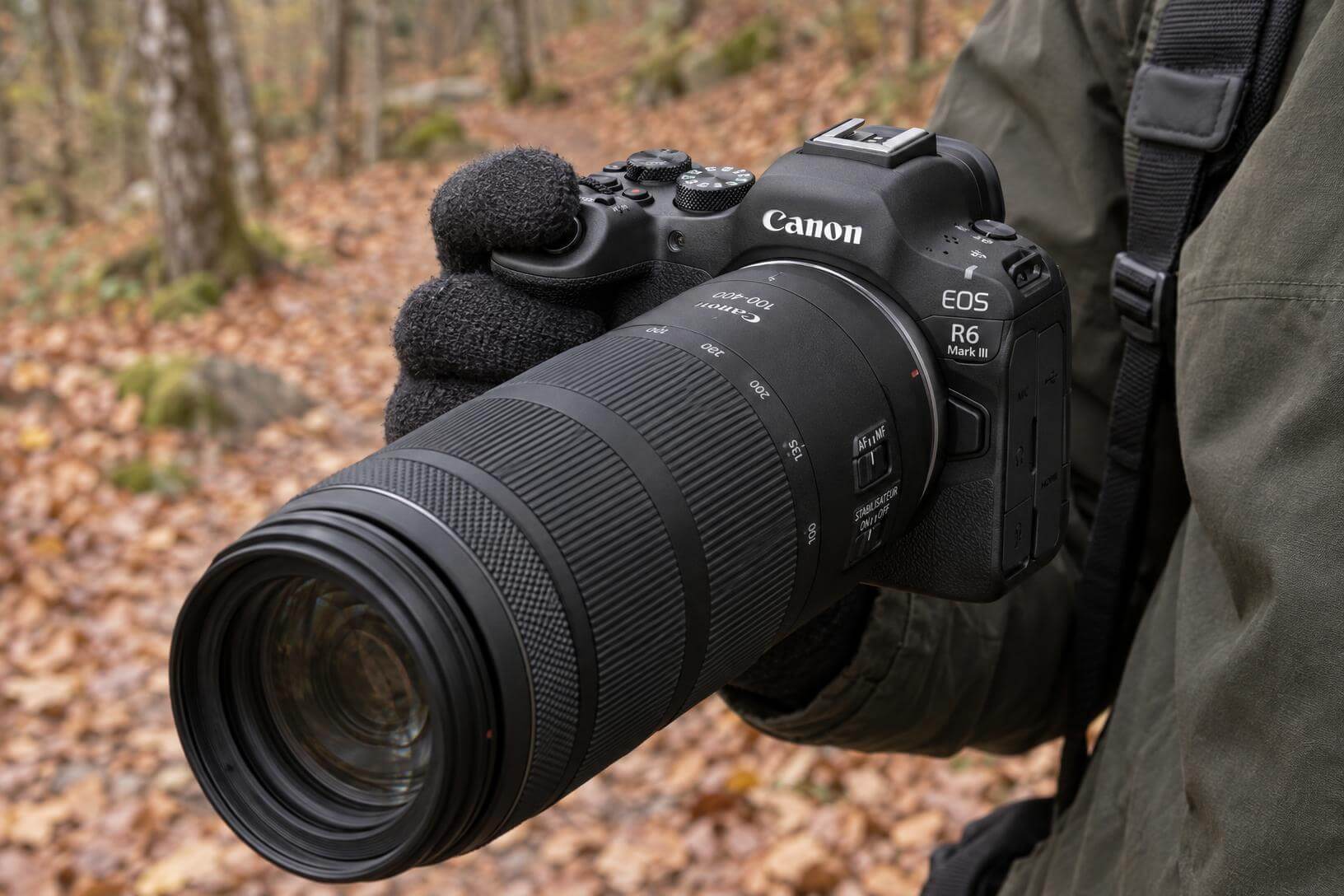 Prise en main du boîtier Canon EOS R6 Mark III avec objectif RF 100-400mm lors d'un test en forêt en automne.